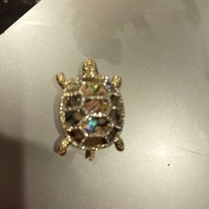 Dana Buchman turtle pin